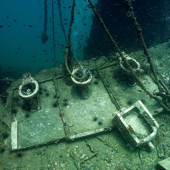 킹크루즈 난파선에 있는 변기