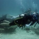 PADI 체험다이빙, 다이버와 안전하게 유영하는 모습