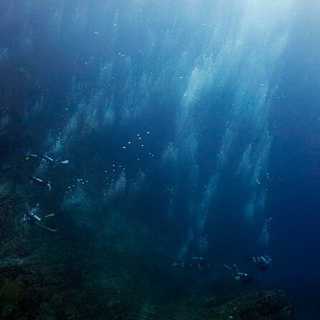 다이버들과 버블들