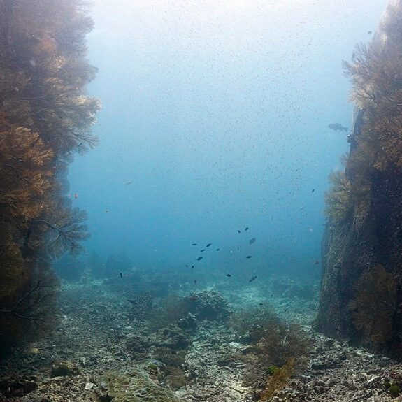 노스포인트의 아름다운 광경