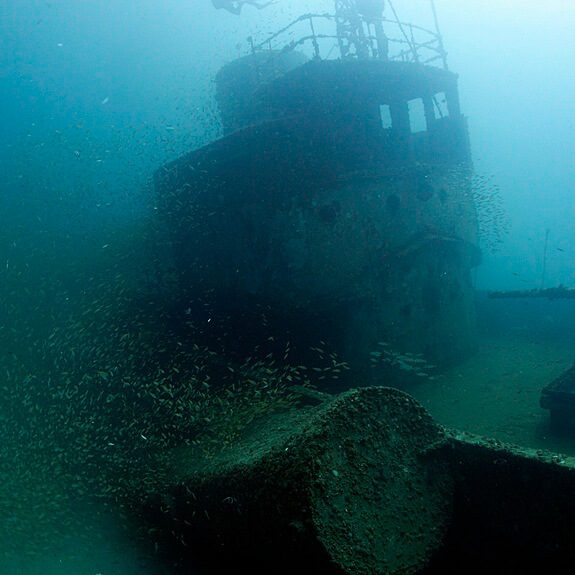 피피의 새로운 난파선