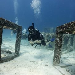 라차야이에서 오픈워터 코스 중인 다이버