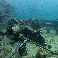 배 앞부분의 모습