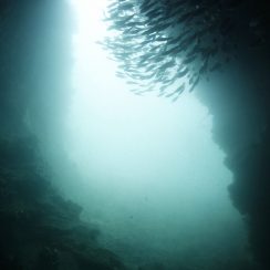 꼬독마이에 있는 작은 동굴