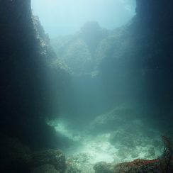 위에서 내리는 햇빛