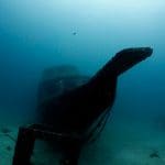 라차야이에 있는 난파선