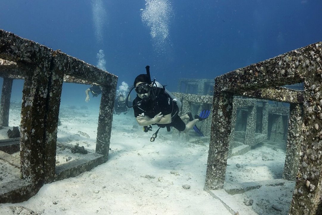 즐거운 오픈워터 다이버