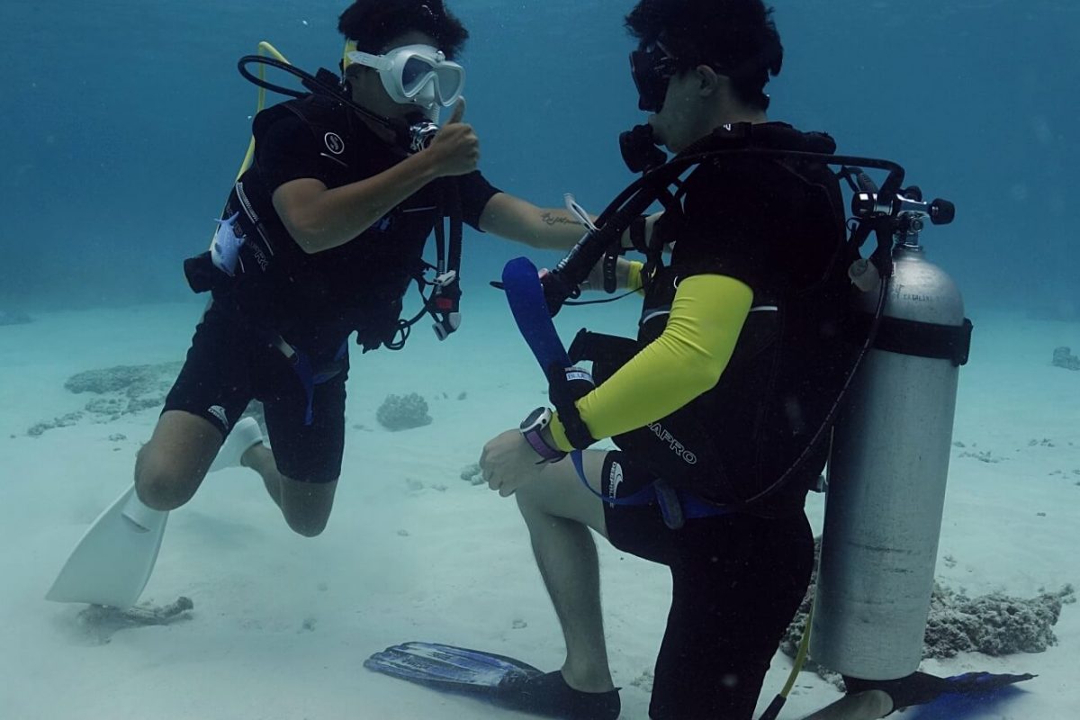 레스큐 스킬 연습 중인 다이버들