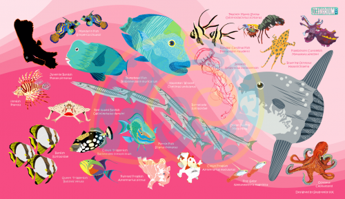 핑크 물고기 수건