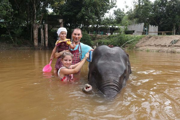 행복한 코끼리와 가족