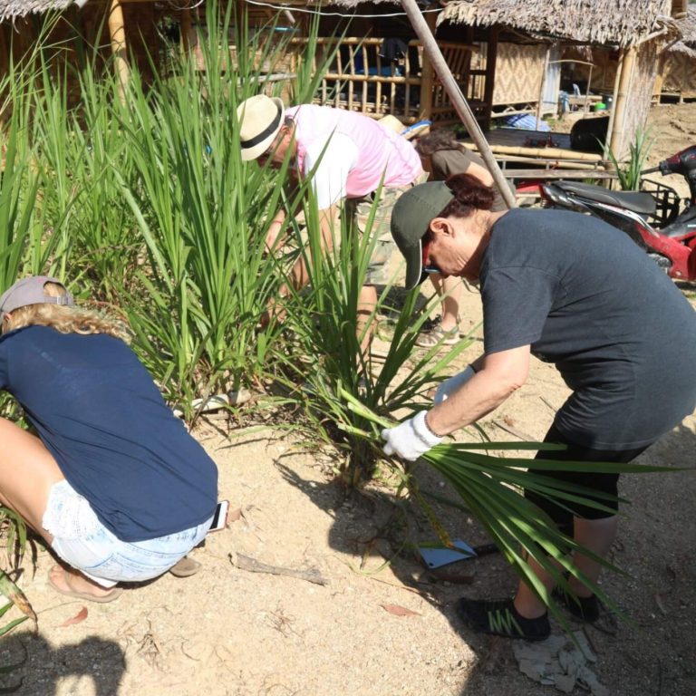 풀 간식 준비하기