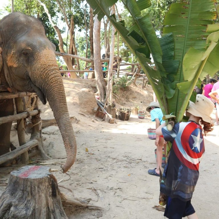 코끼리집 청소하기