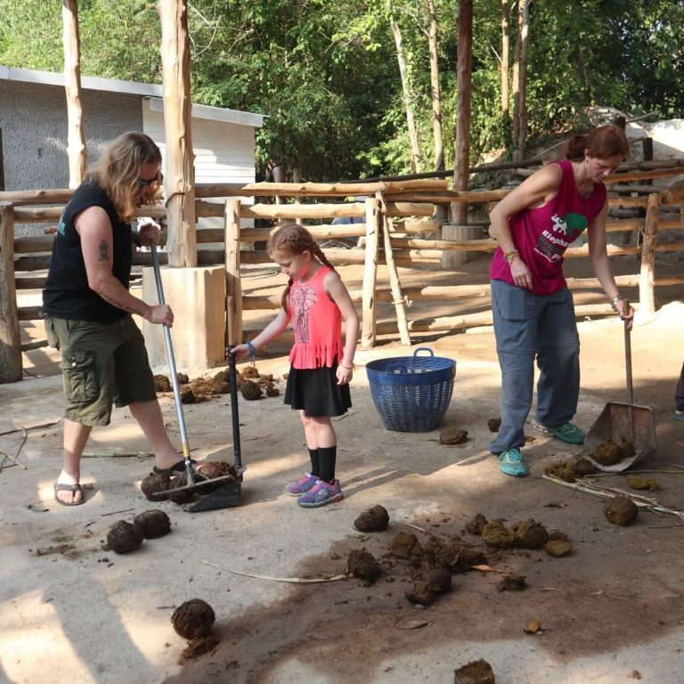 코끼리 응가 치우기