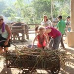 지푸라기 모으기