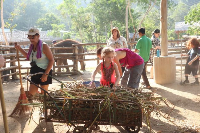 지푸라기 모으기