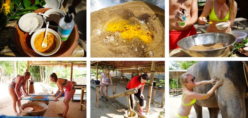 코끼리 머드 스파