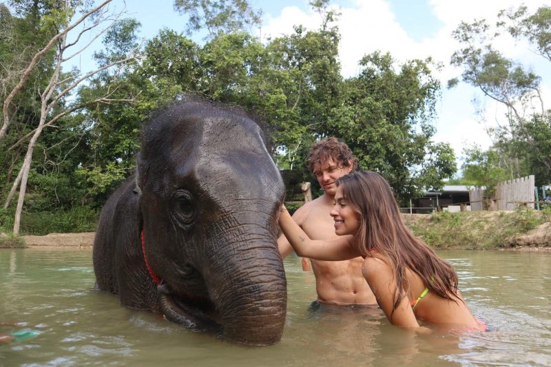 코끼리와 아름다운 미녀