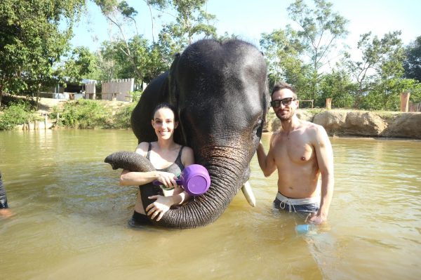 코끼리와 목욕하기