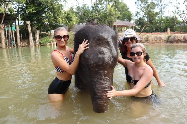 세모녀와 코끼리