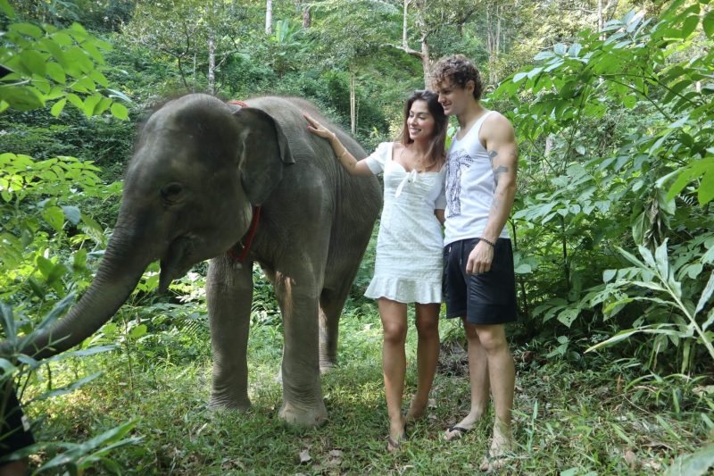 코끼리와 하이킹하는 커플