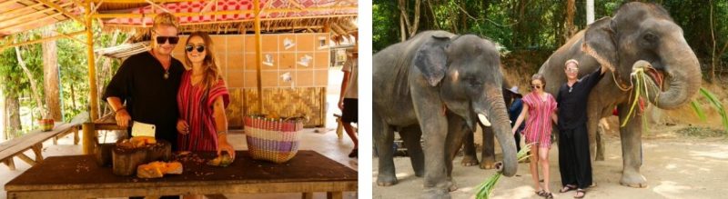 코끼리 먹이 만드는 허니문 코스