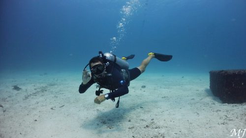 멋진 포즈의 다이버