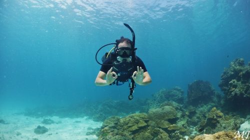 다이빙 준비 완료