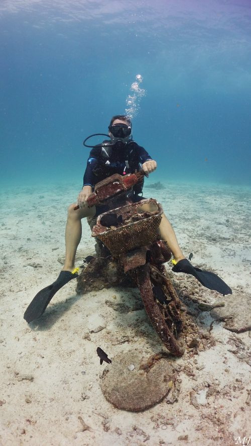 바이크 탄 다이버