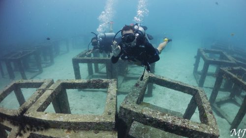 인공어초와 다이버들