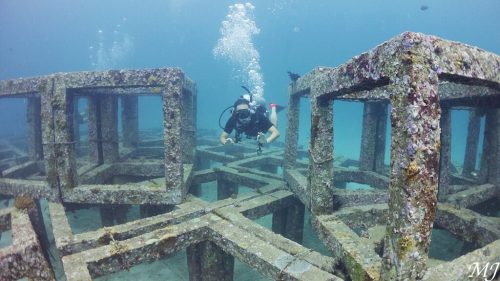 푸켓 라차야이 큐브와 함께