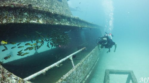 난파선과 다이버