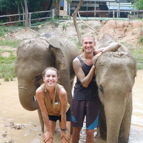 코끼리와 아름다운 커플