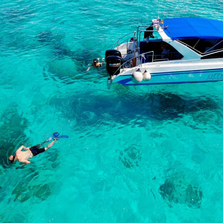 스피드보트에서 하는 스노클링