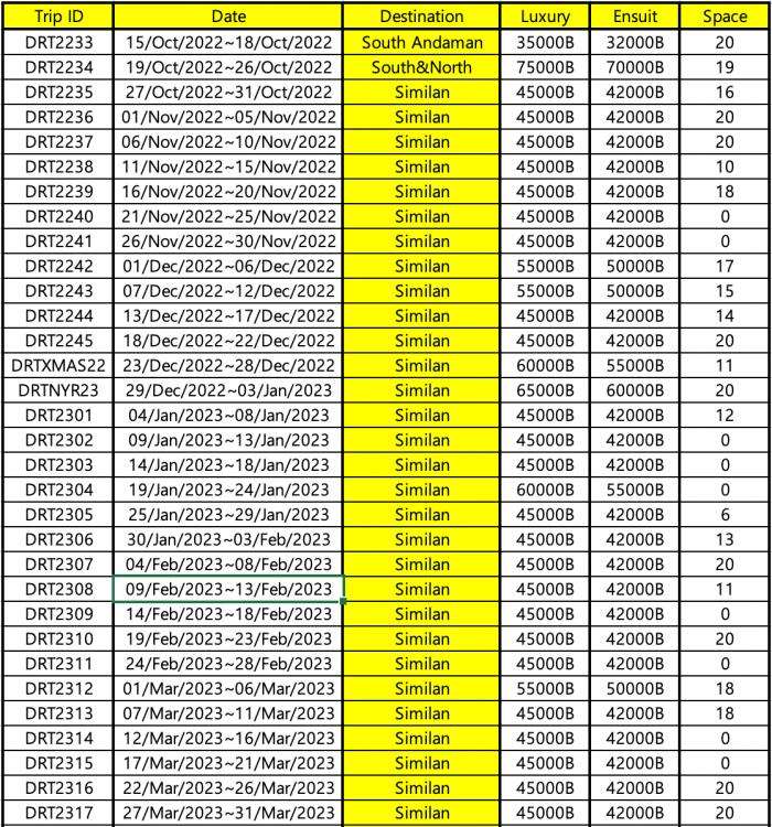 다이브레이스 2022 2023 스케줄1