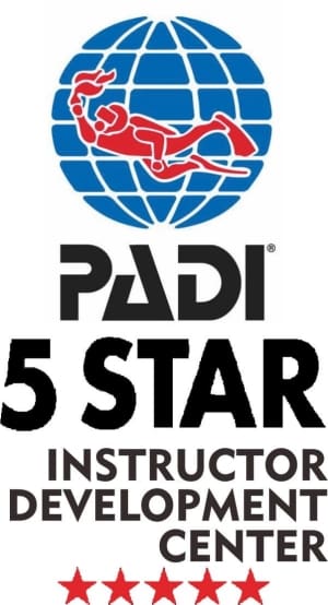 PADI 5스타 IDC 로고